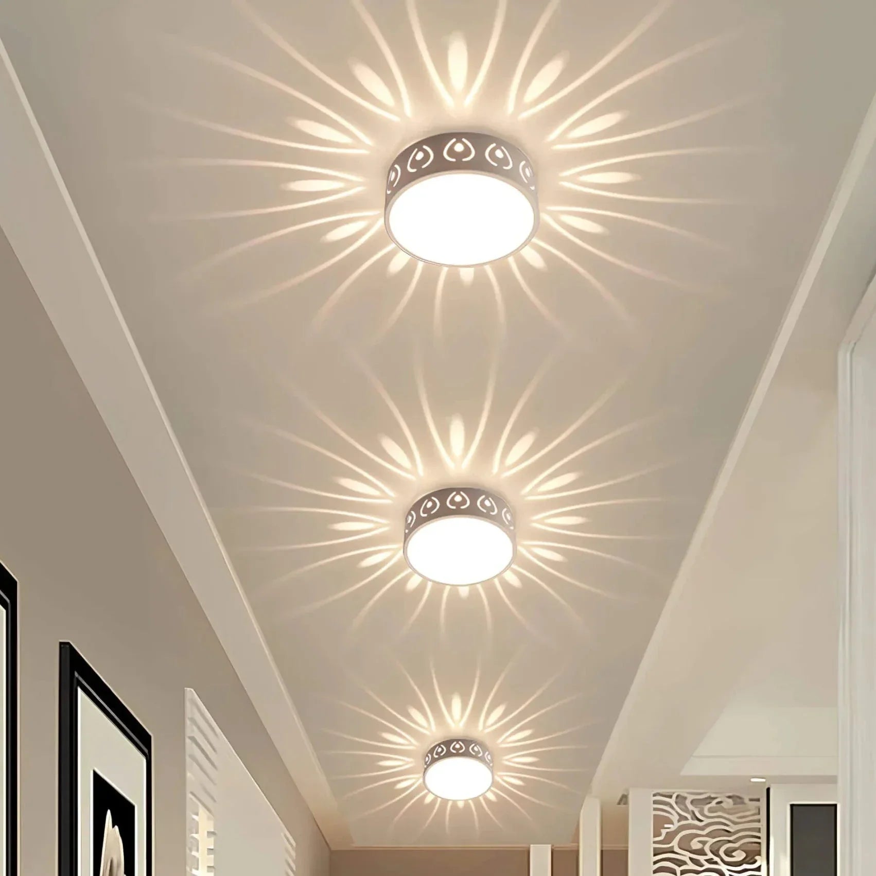 sophisticated-ceiling-light-fo-2-yjf2r3