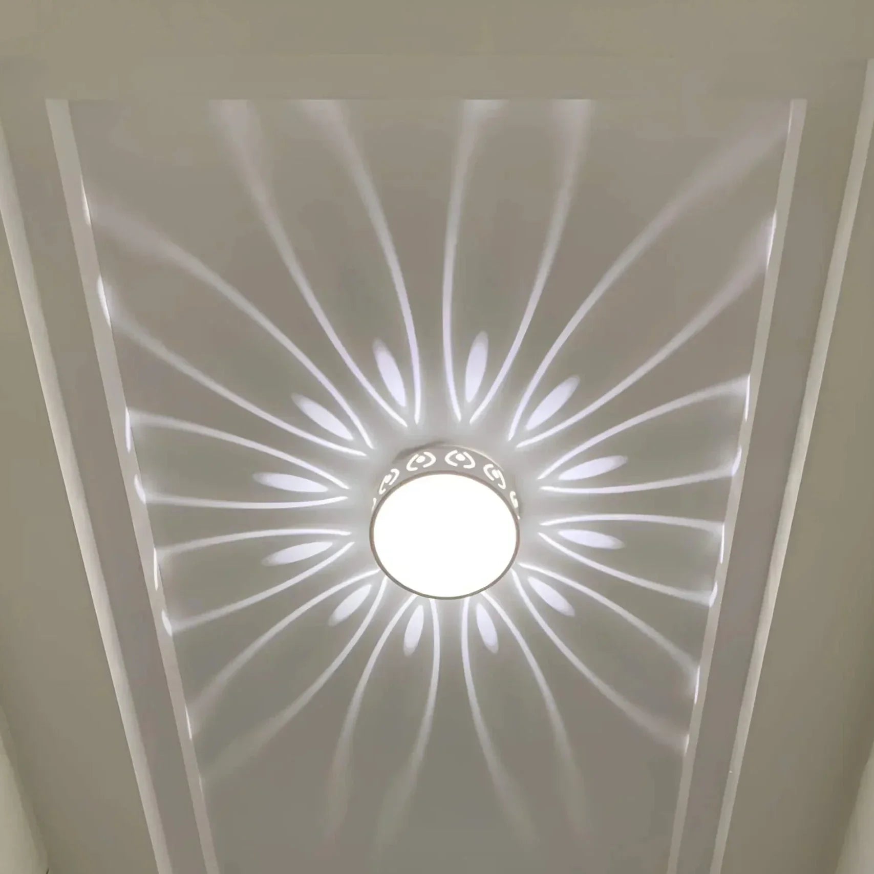 sophisticated-ceiling-light-fo-7-o1j5lf
