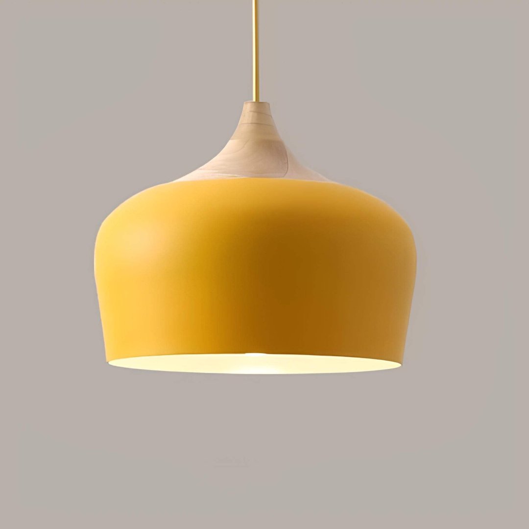 stylish-pastel-ceiling-light-f-2-pt7vr8